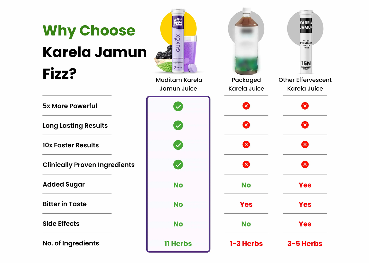 Karela Jamun Fizz x 3 bottles
